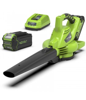 Greenworks Bladblazer/Zuiger 40V DIGIPRO Met 4.0Ah Accu en lader Bladblazer