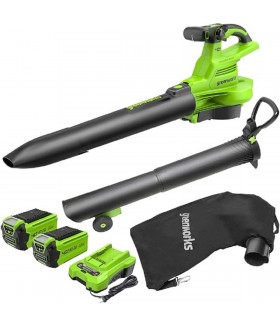 Greenworks Bladblazer/Zuiger 40V DIGIPRO Met 2x 2.0Ah Accu en lader Bladblazer