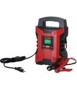 Fluxon acculader 12/24V [BC10AI]