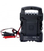 Fluxon acculader 12/24V [BC10AI]