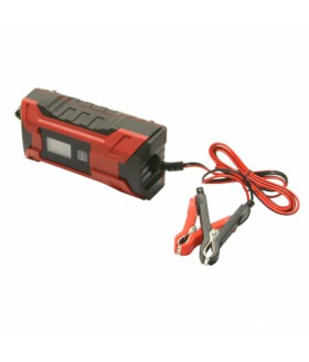 Fluxon Acculader 6V/12V - 2A/4A Acculader en starthulp