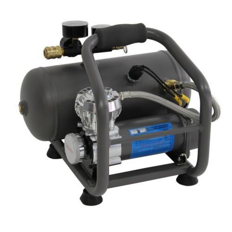 Hick Maan strijd Zion Air Compressor 12V Draagbaar met tank