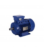 Fluxon Elektromotor 0,75kW 1440rpm IE3 230/400V Krachtstroommotoren