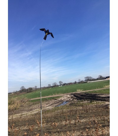 Vogelverschrikker bird scaring kite 4 meter met draaiende voet