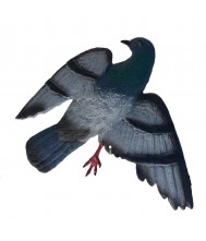 Vogelverschikker flattypigeon - kunststof silhouet van een dode duif Vogelverschrikker