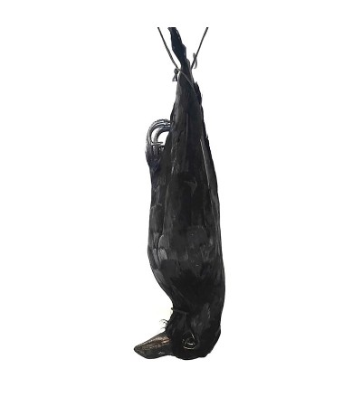 Vogelverschrikker gevederde hangende zwarte kraai Vogelverschrikker