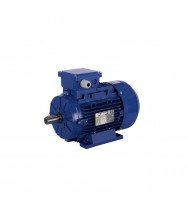 Fluxon Elektromotor 0,55kW 2860rpm IE3 230/400V Krachtstroommotoren