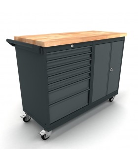 Verrijdbare werkbank 2 deuren 7 laden kast Werkplaatsinrichting