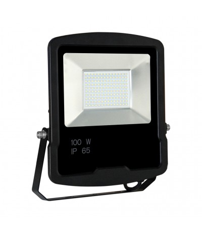LED Schijnwerper 100W 230V