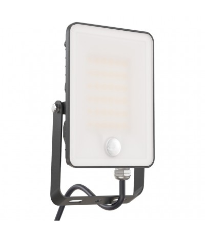 LED Schijnwerper met bewegingssensor 20W 230V