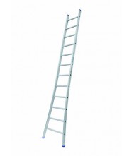 Solide Enkele Ladder 12 sporten Ladders enkel