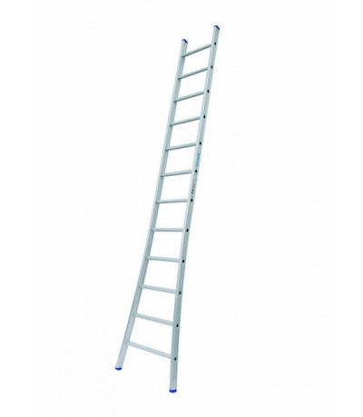 Solide Enkele Ladder 12 sporten