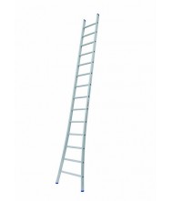 Solide Enkele Ladder 14 sporten Ladders enkel