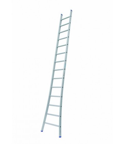 Solide Enkele Ladder 14 sporten Ladders enkel