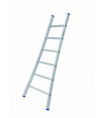 Solide Enkele Ladder 6 sporten Ladders enkel