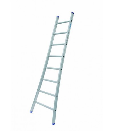 Solide Enkele Ladder 8 sporten Ladders enkel