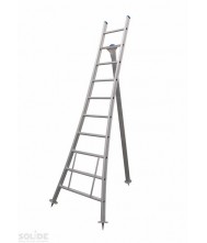 Solide Plukladder 10 sporten Ladders enkel