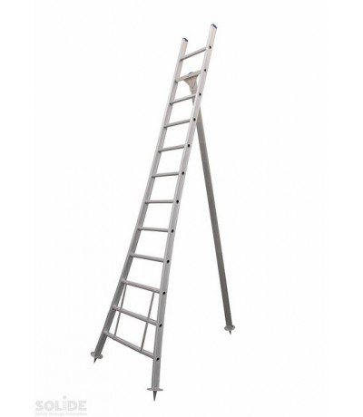 Solide Plukladder 12 sporten Ladders enkel