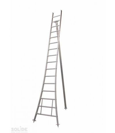 Solide Plukladder 16 sporten Ladders enkel