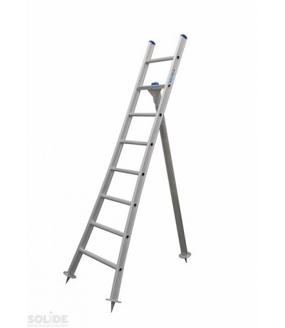 Solide Plukladder 6 sporten Ladders enkel
