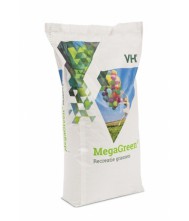 Graszaad MegaGreen Speel Gazon 15 Kg 750m2 Graszaad